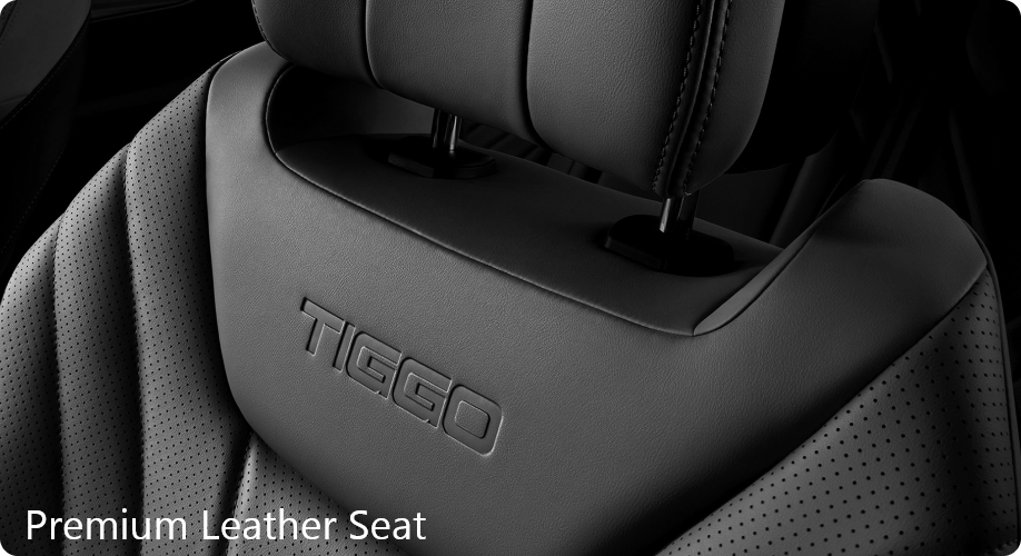 premium-leather-seat